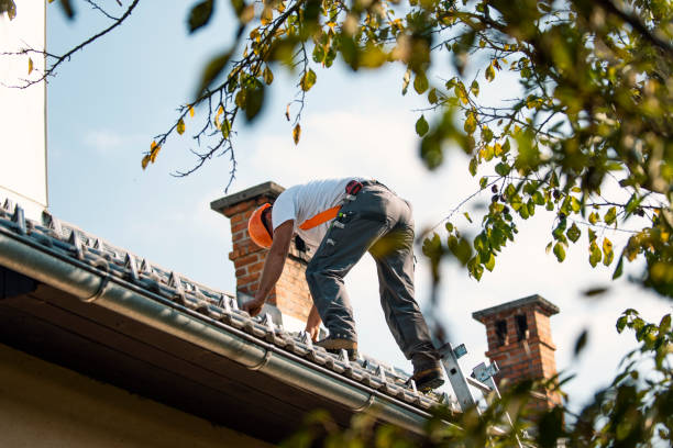 Best Emergency Roof Repair  in Lisbon, IA