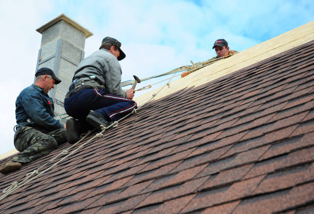 Best Local Roofing Companies  in Lisbon, IA