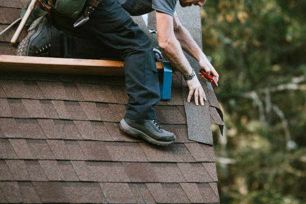 Best Roof Maintenance Services  in Lisbon, IA