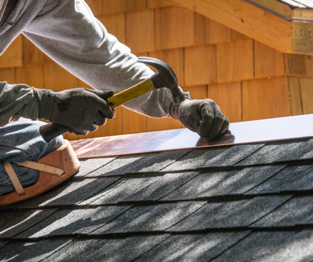 Best Roof Gutter Cleaning  in Lisbon, IA